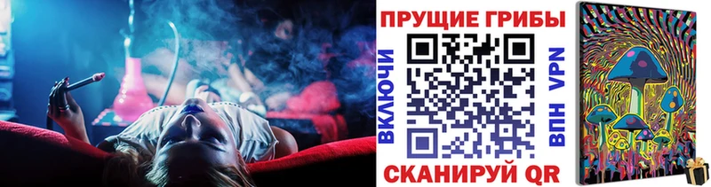 где купить наркоту  Гурьевск  Псилоцибиновые грибы Magic Shrooms 
