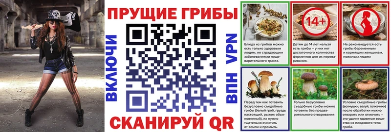 Галлюциногенные грибы Psilocybine cubensis Гурьевск